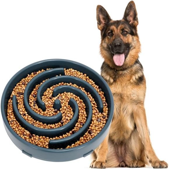 Slow Feeder Dogs Bowl for Large Dogs,Anti-Gulping Pet Slower Food Feeding Bowls - Picture 1 of 6